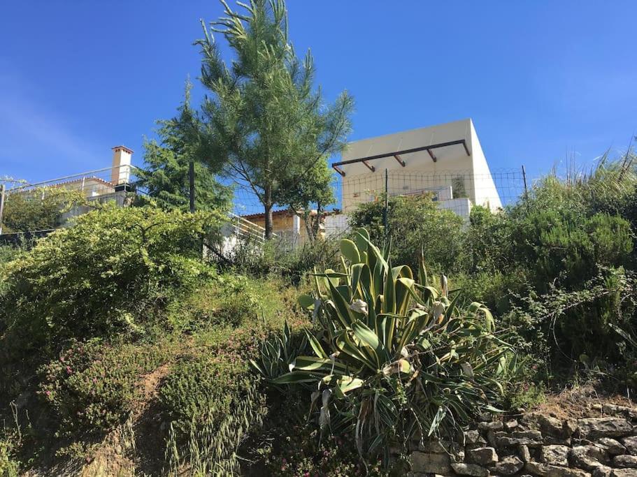 Willa A Casa Da Lua Tomar Zewnętrze zdjęcie